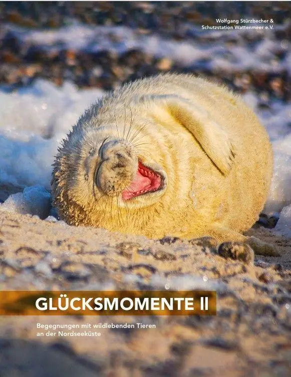 Cover: 9783690288224 | Glücksmomente II | Wolfgang Stürzbecher (u. a.) | Buch | 200 S. | 2026