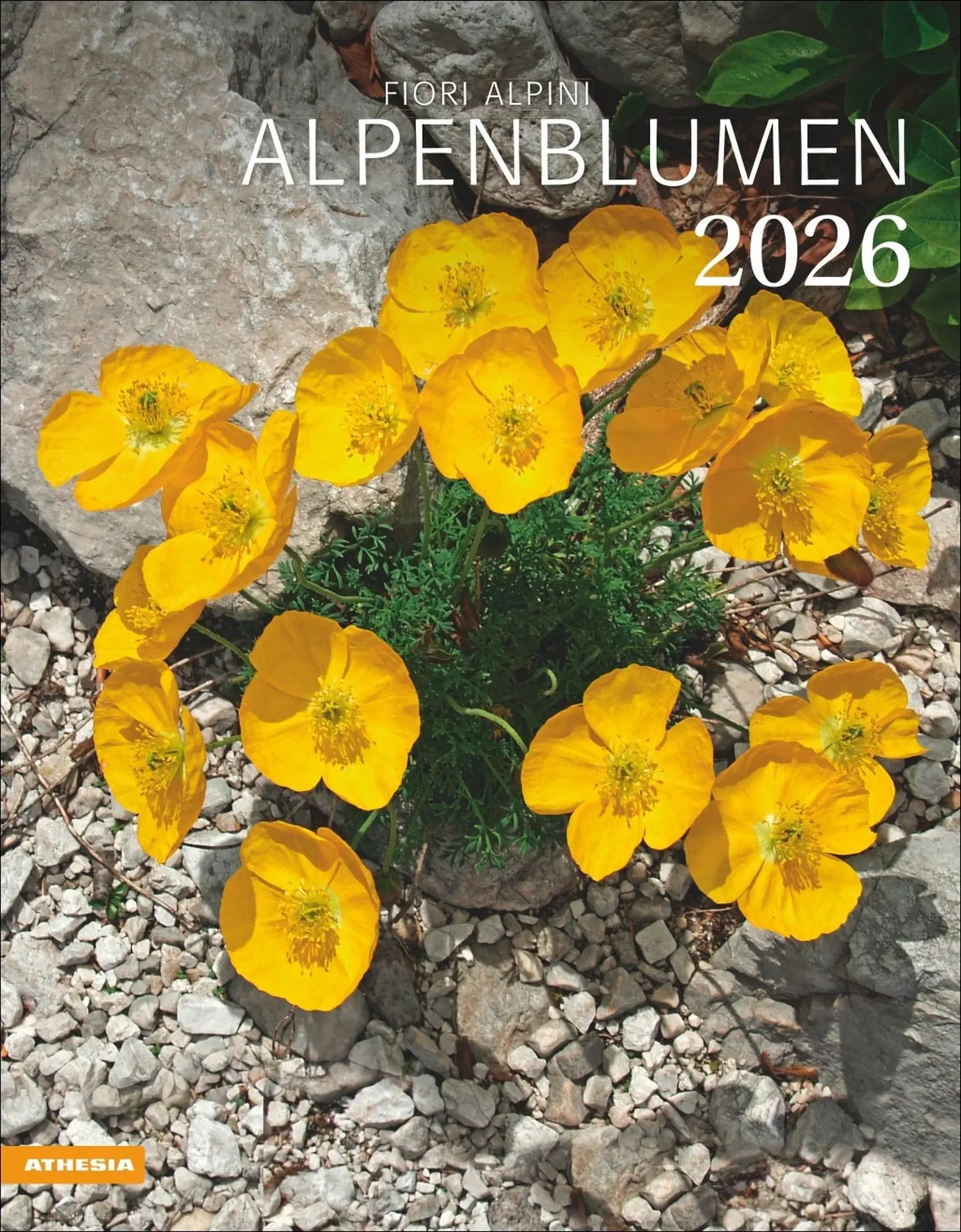 Cover: 9788868398224 | Alpenblumen Kalender 2026 | Kalender | 14 S. | Deutsch | 2026