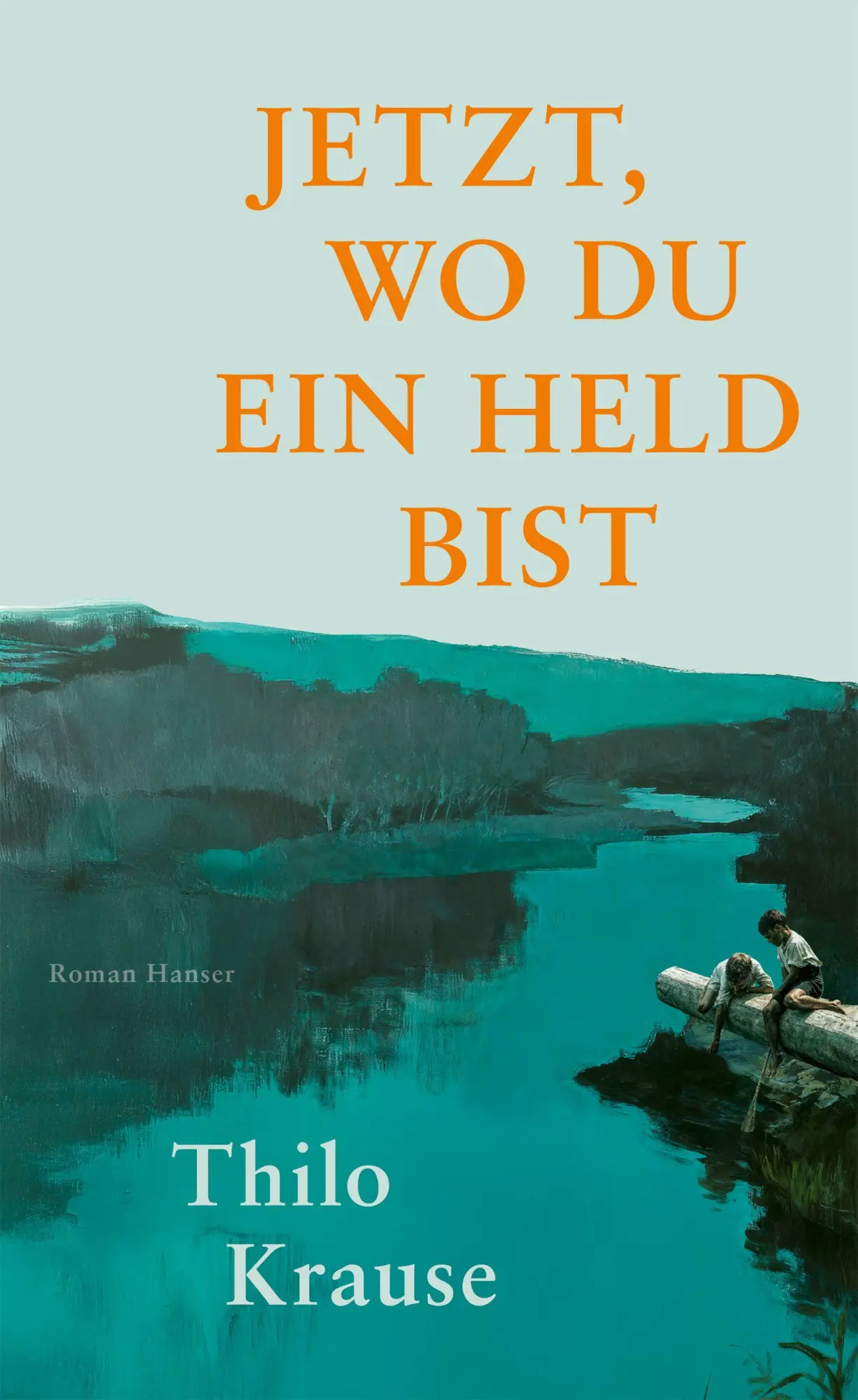 Cover: 9783446288324 | Jetzt, wo du ein Held bist | Roman | Thilo Krause | Buch | 272 S.