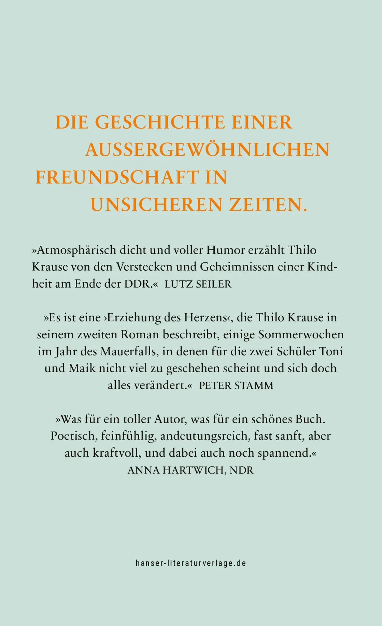 Bild: 9783446288324 | Jetzt, wo du ein Held bist | Roman | Thilo Krause | Buch | 272 S.