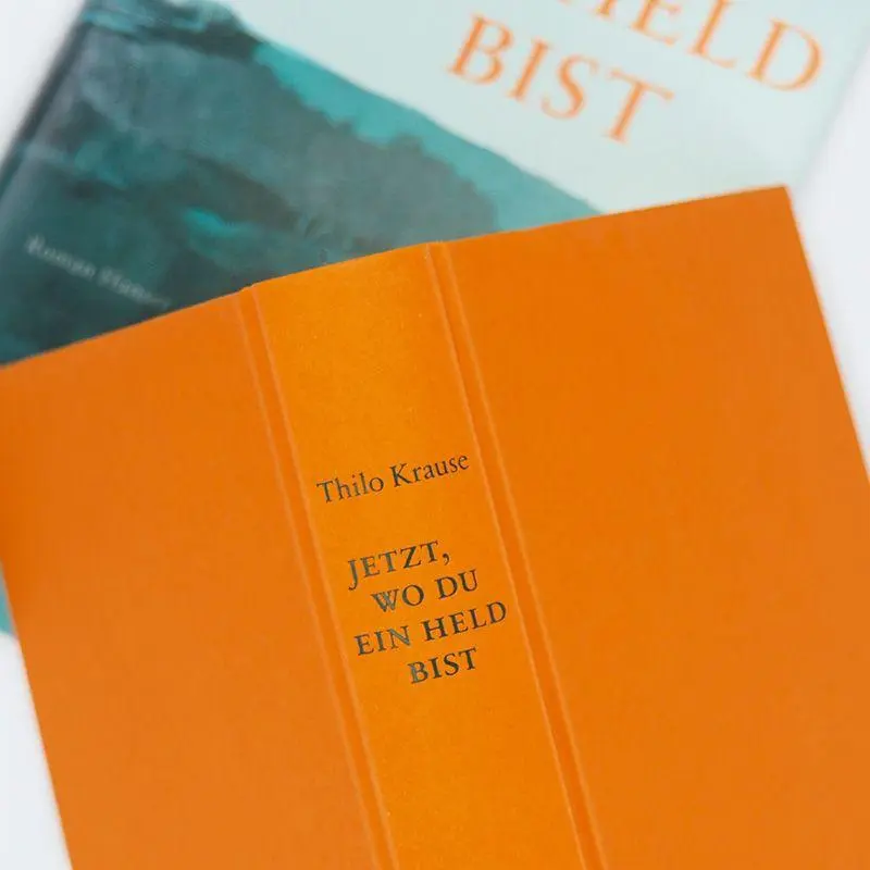 Bild: 9783446288324 | Jetzt, wo du ein Held bist | Roman | Thilo Krause | Buch | 272 S.