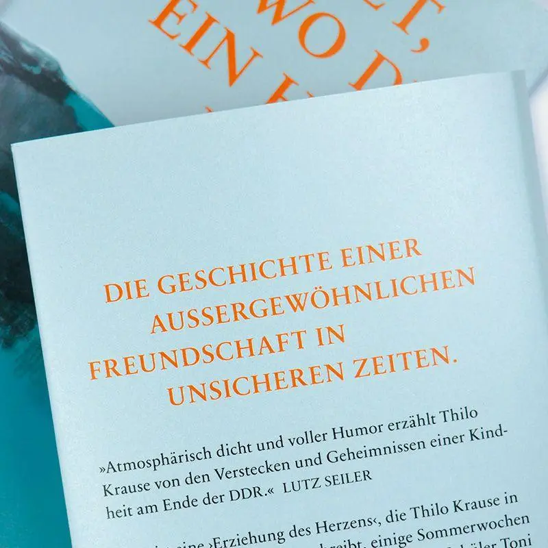 Bild: 9783446288324 | Jetzt, wo du ein Held bist | Roman | Thilo Krause | Buch | 272 S.