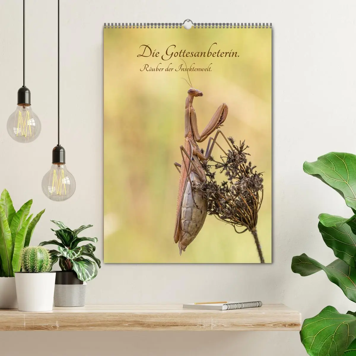 Bild: 9783516408324 | Die Gottesanbeterin. Räuber der Insektenwelt. (Wandkalender 2026...