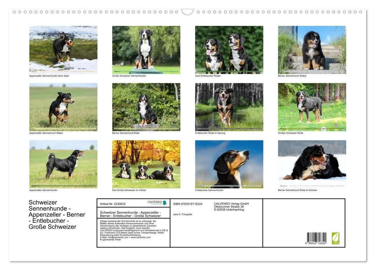 Bild: 9783516718324 | Schweizer Sennenhunde - Appenzeller - Berner - Entlebucher - Große...