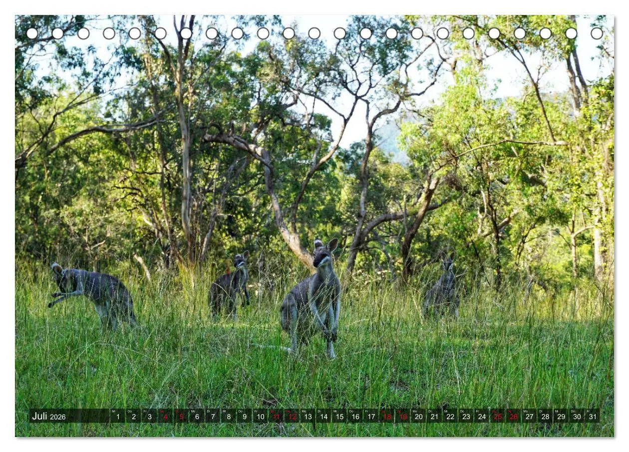 Bild: 9783457928424 | Australien (Tischkalender 2026 DIN A5 quer), CALVENDO Monatskalender