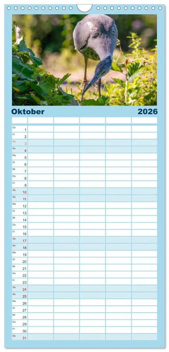 Bild: 9783516498424 | Familienplaner 2026 - Unsere Vogelvielfalt: Ein Schatz zum...