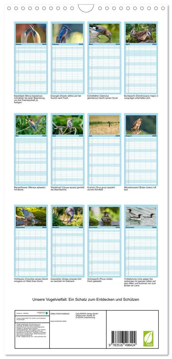 Bild: 9783516498424 | Familienplaner 2026 - Unsere Vogelvielfalt: Ein Schatz zum...