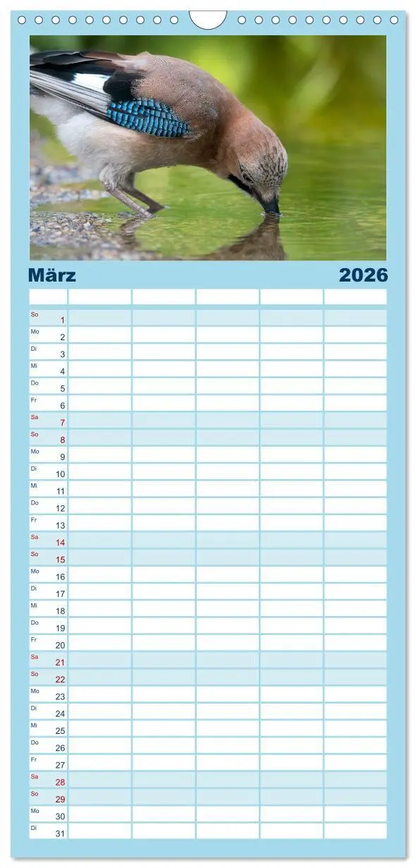 Bild: 9783516498424 | Familienplaner 2026 - Unsere Vogelvielfalt: Ein Schatz zum...