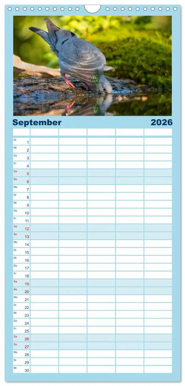 Bild: 9783516498424 | Familienplaner 2026 - Unsere Vogelvielfalt: Ein Schatz zum...