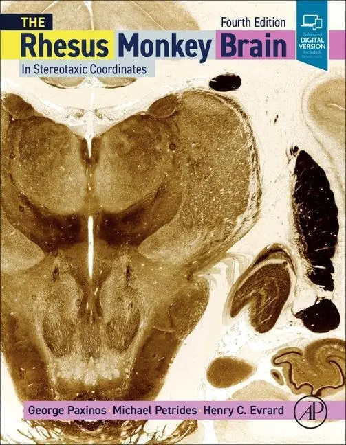 Cover: 9780128158524 | The Rhesus Monkey Brain in Stereotaxic Coordinates | Paxinos (u. a.)