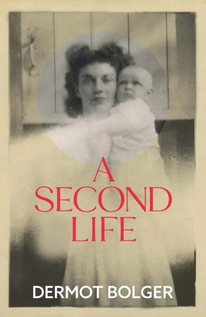 Cover: 9781848408524 | A Second Life | Dermot Bolger | Taschenbuch | Kartoniert / Broschiert