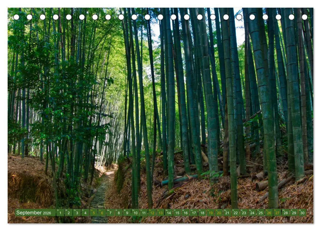 Bild: 9783457538524 | Japan - Land der Vielfalt (Tischkalender 2026 DIN A5 quer),...