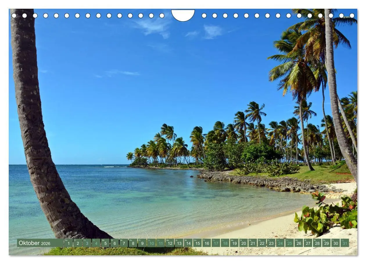 Bild: 9783457848524 | Samana - Palmen und Strände (Wandkalender 2026 DIN A4 quer),...