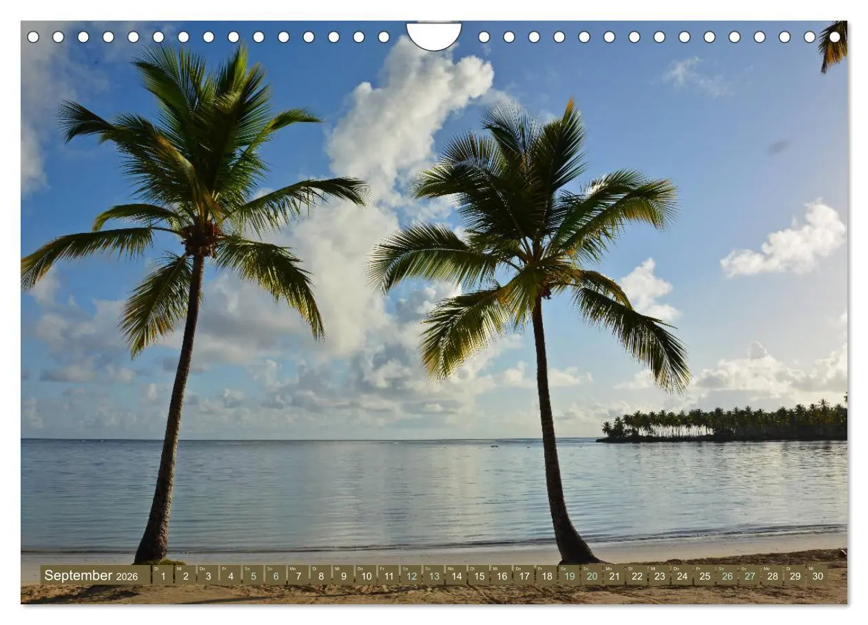 Bild: 9783457848524 | Samana - Palmen und Strände (Wandkalender 2026 DIN A4 quer),...