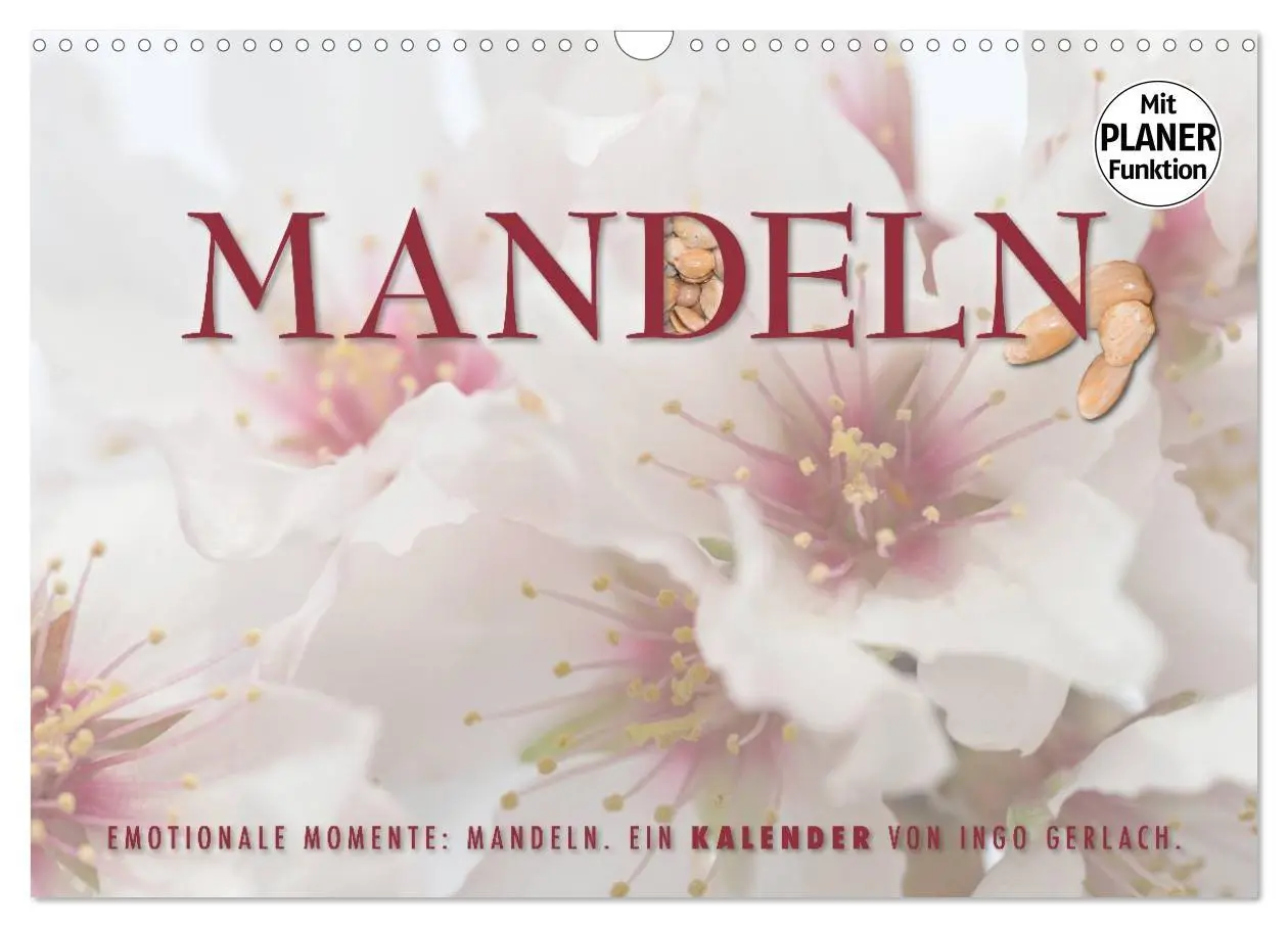 Cover: 9783516008524 | Emotionale Momente: Mandeln (Wandkalender 2026 DIN A3 quer),...