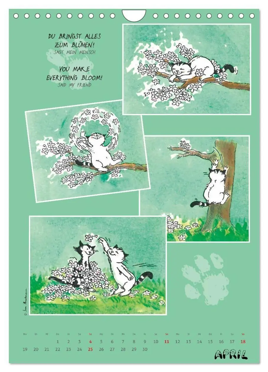 Bild: 9783594398524 | Kater Jacob: Ach Du lieber Mensch (Wandkalender 2027 DIN A4 hoch),...