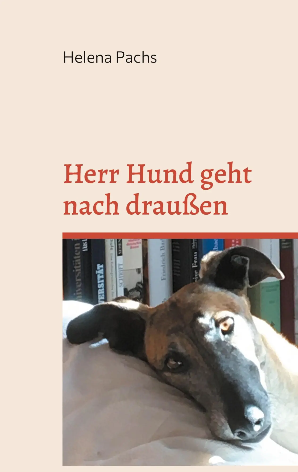Cover: 9783753478524 | Herr Hund geht nach draußen | Helena Pachs | Taschenbuch | Paperback