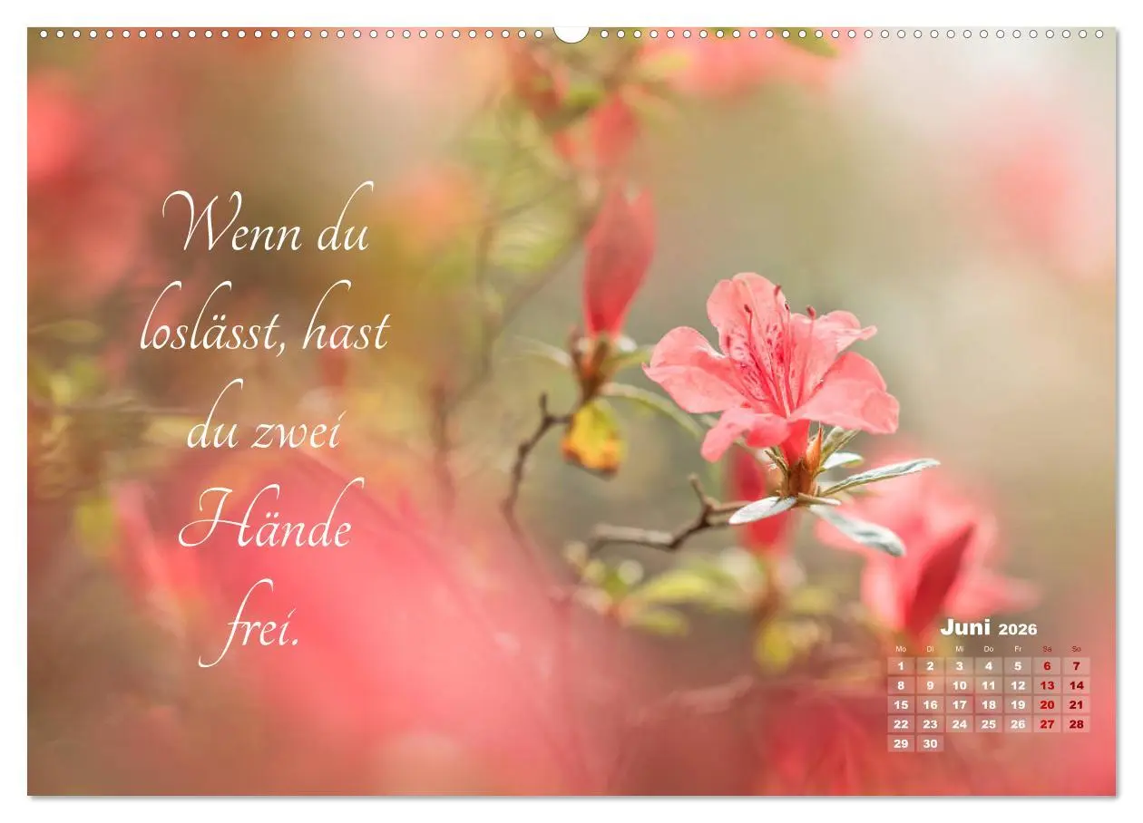 Bild: 9783457698624 | Chinesische Weisheiten (hochwertiger Premium Wandkalender 2026 DIN...