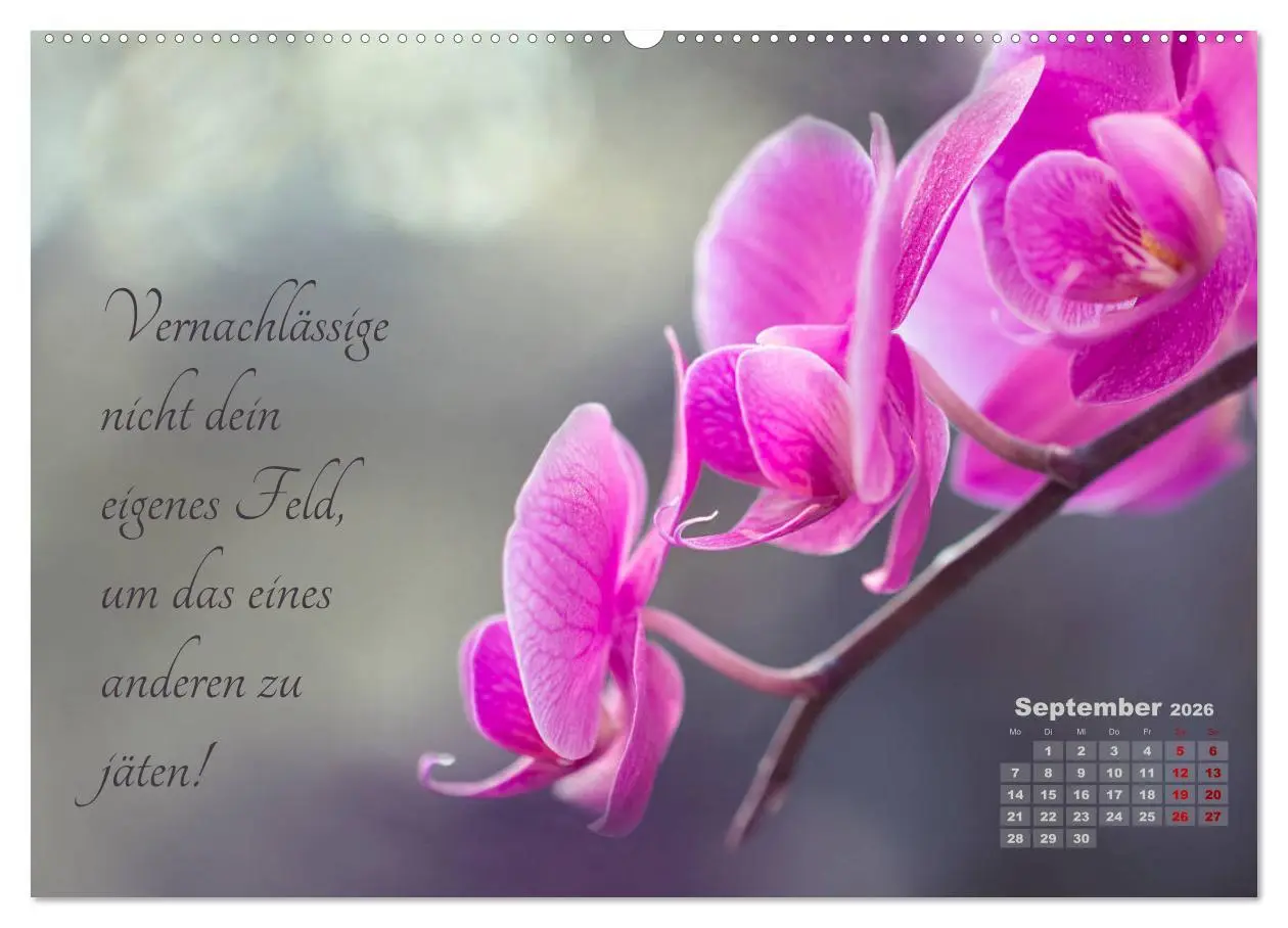 Bild: 9783457698624 | Chinesische Weisheiten (hochwertiger Premium Wandkalender 2026 DIN...