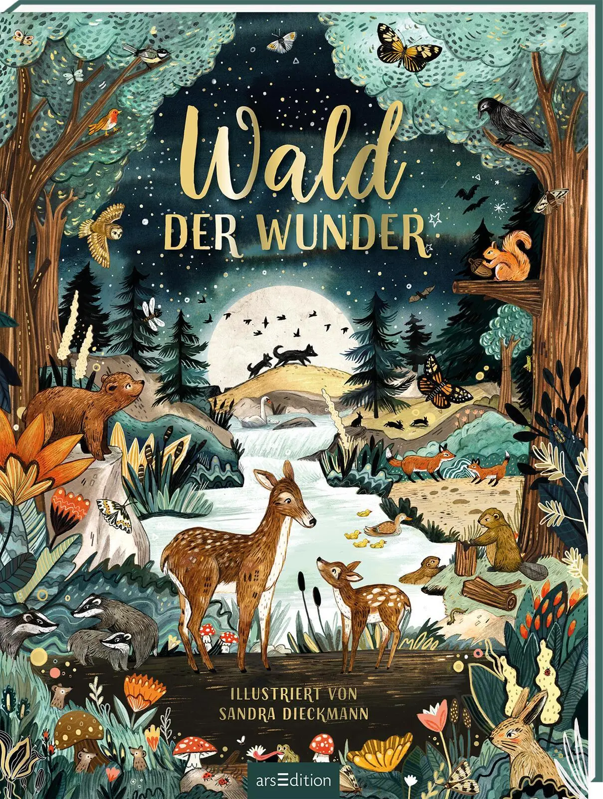 Cover: 9783845848624 | Wald der Wunder | Sandra Dieckmann | Buch | Hardcover mit Goldfolie