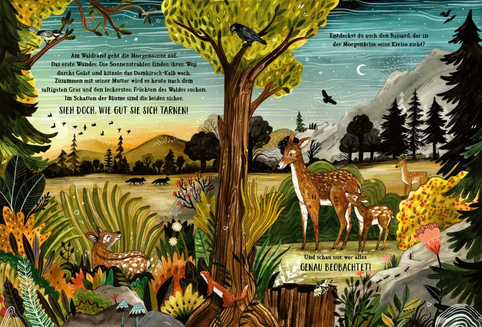 Bild: 9783845848624 | Wald der Wunder | Sandra Dieckmann | Buch | Hardcover mit Goldfolie