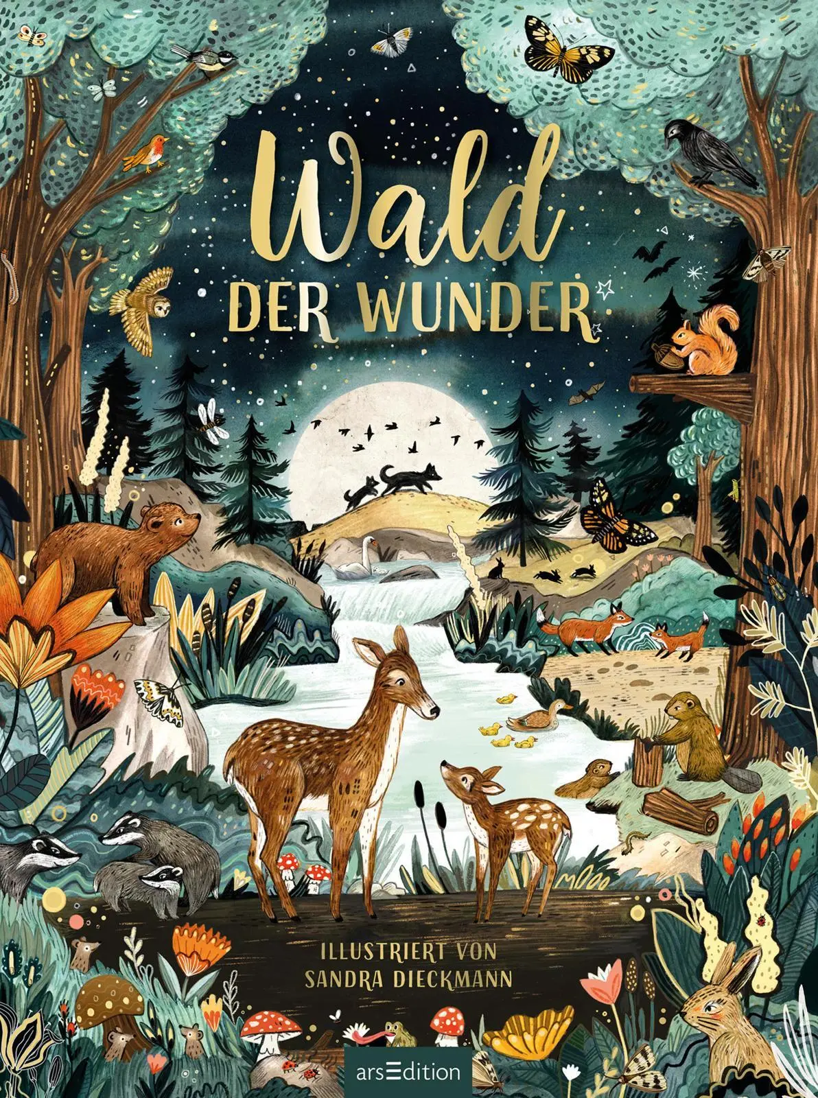 Bild: 9783845848624 | Wald der Wunder | Sandra Dieckmann | Buch | Hardcover mit Goldfolie