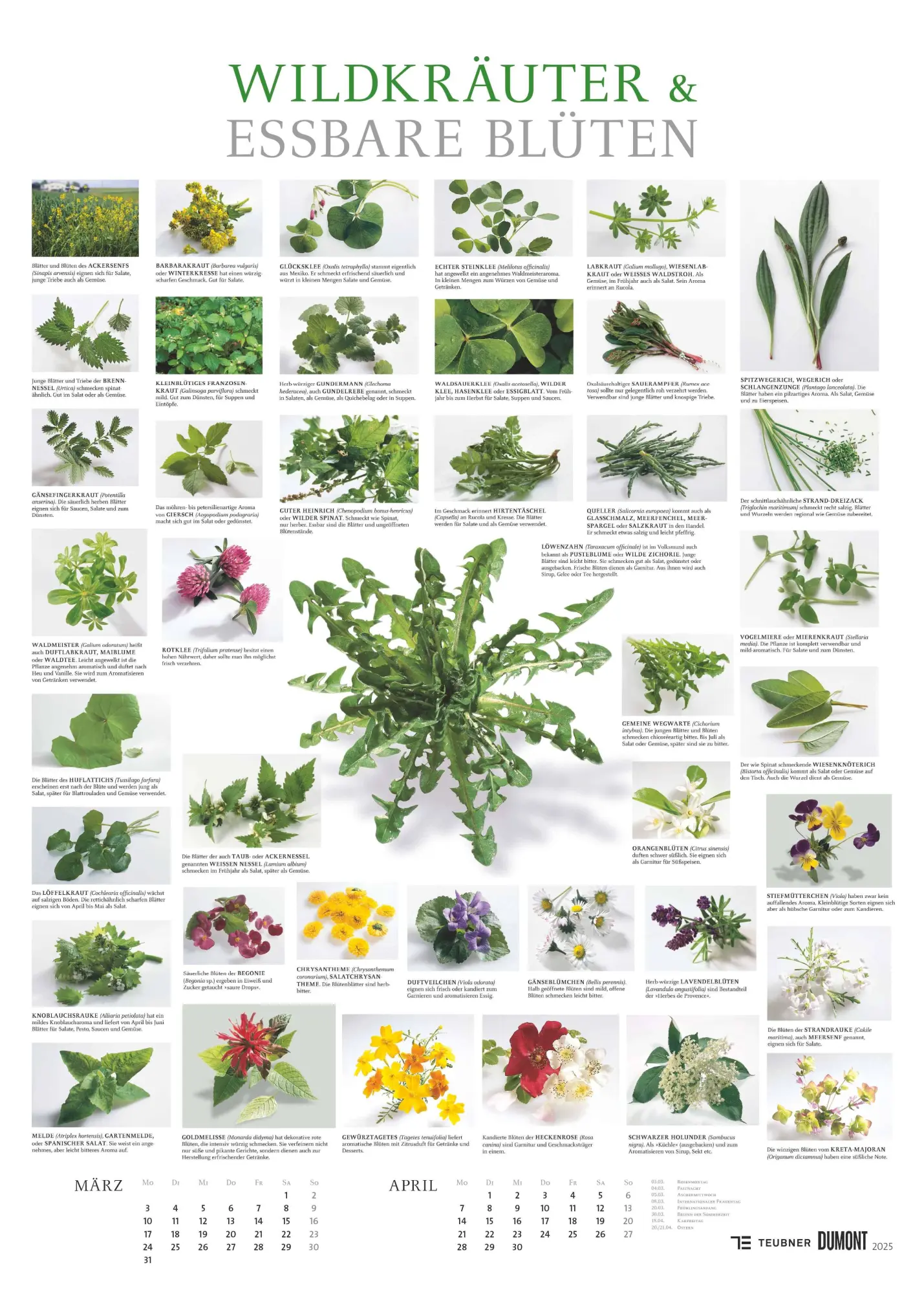 Bild: 4069095008724 | Food 2026 - Bildkalender 50x70 cm - mit kurzen Beschreibungen zu...
