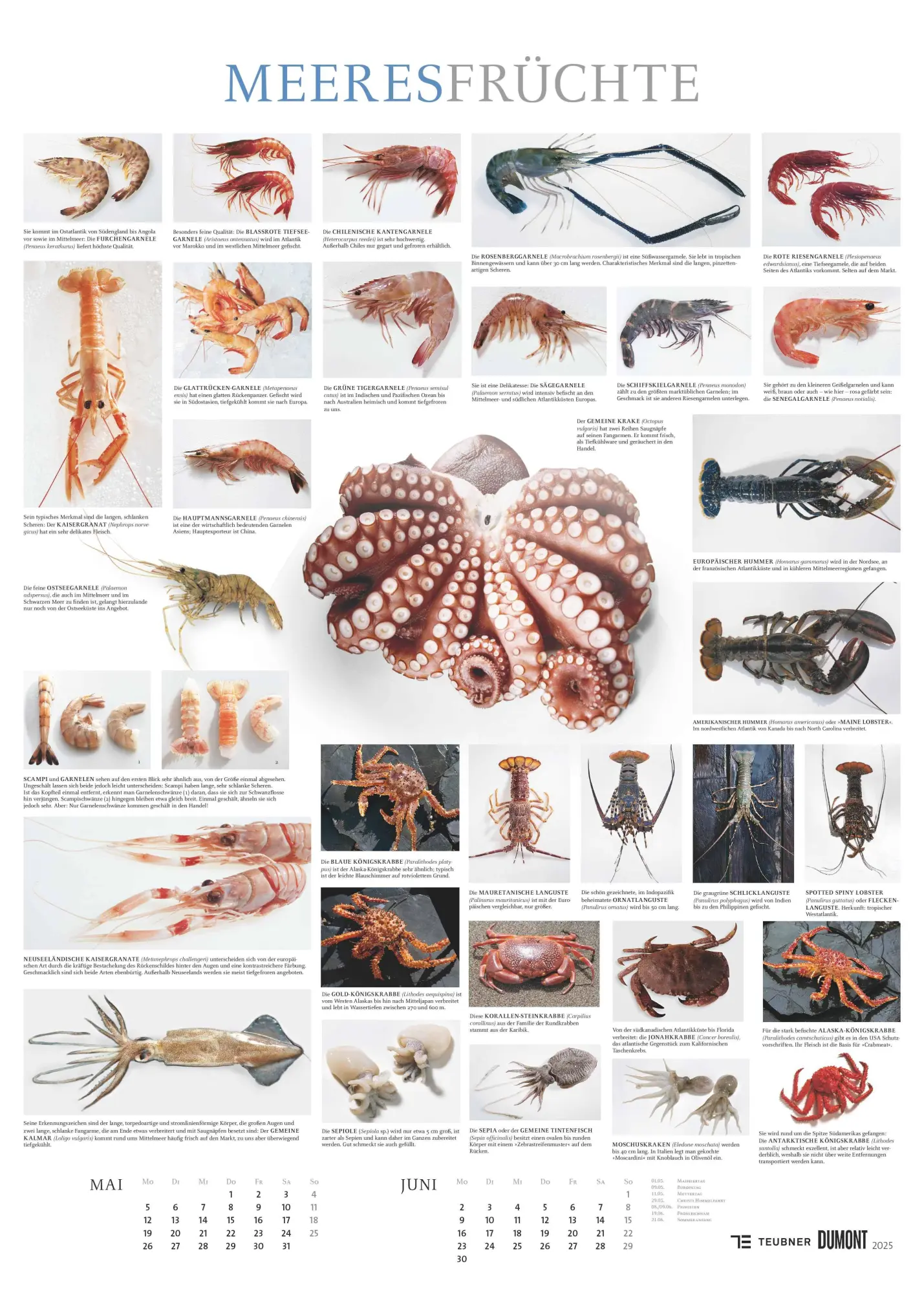 Bild: 4069095008724 | Food 2026 - Bildkalender 50x70 cm - mit kurzen Beschreibungen zu...
