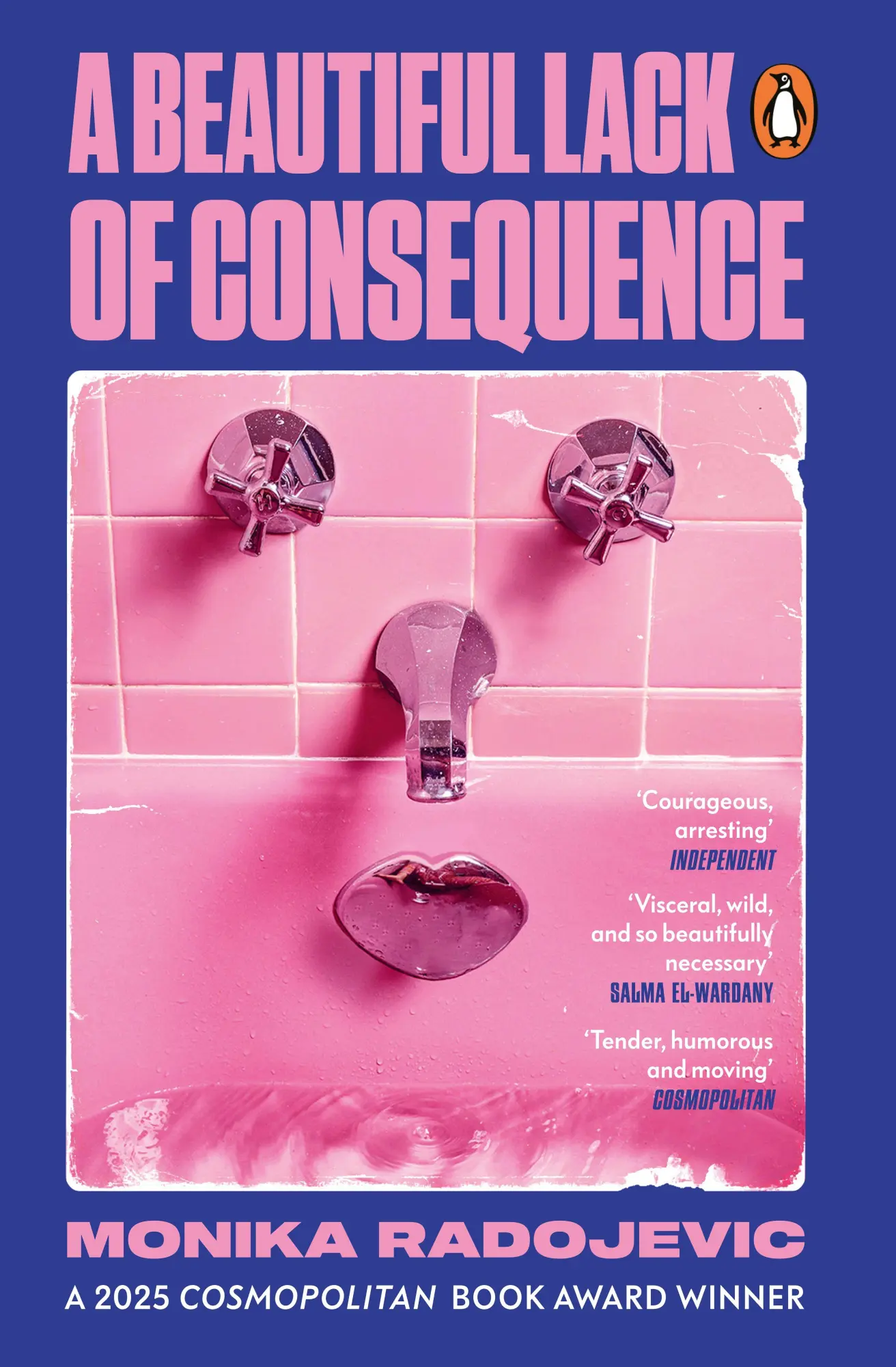 Cover: 9781529918724 | A Beautiful Lack of Consequence | Monika Radojevic | Taschenbuch