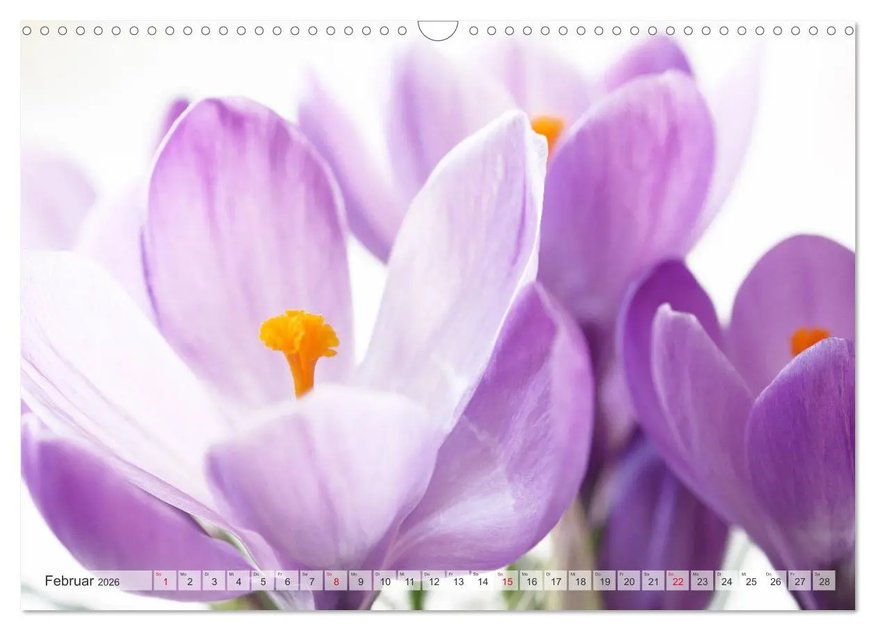 Bild: 9783457828724 | Blumenlust (Wandkalender 2026 DIN A3 quer), CALVENDO Monatskalender