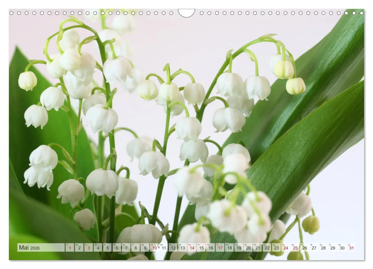 Bild: 9783457828724 | Blumenlust (Wandkalender 2026 DIN A3 quer), CALVENDO Monatskalender