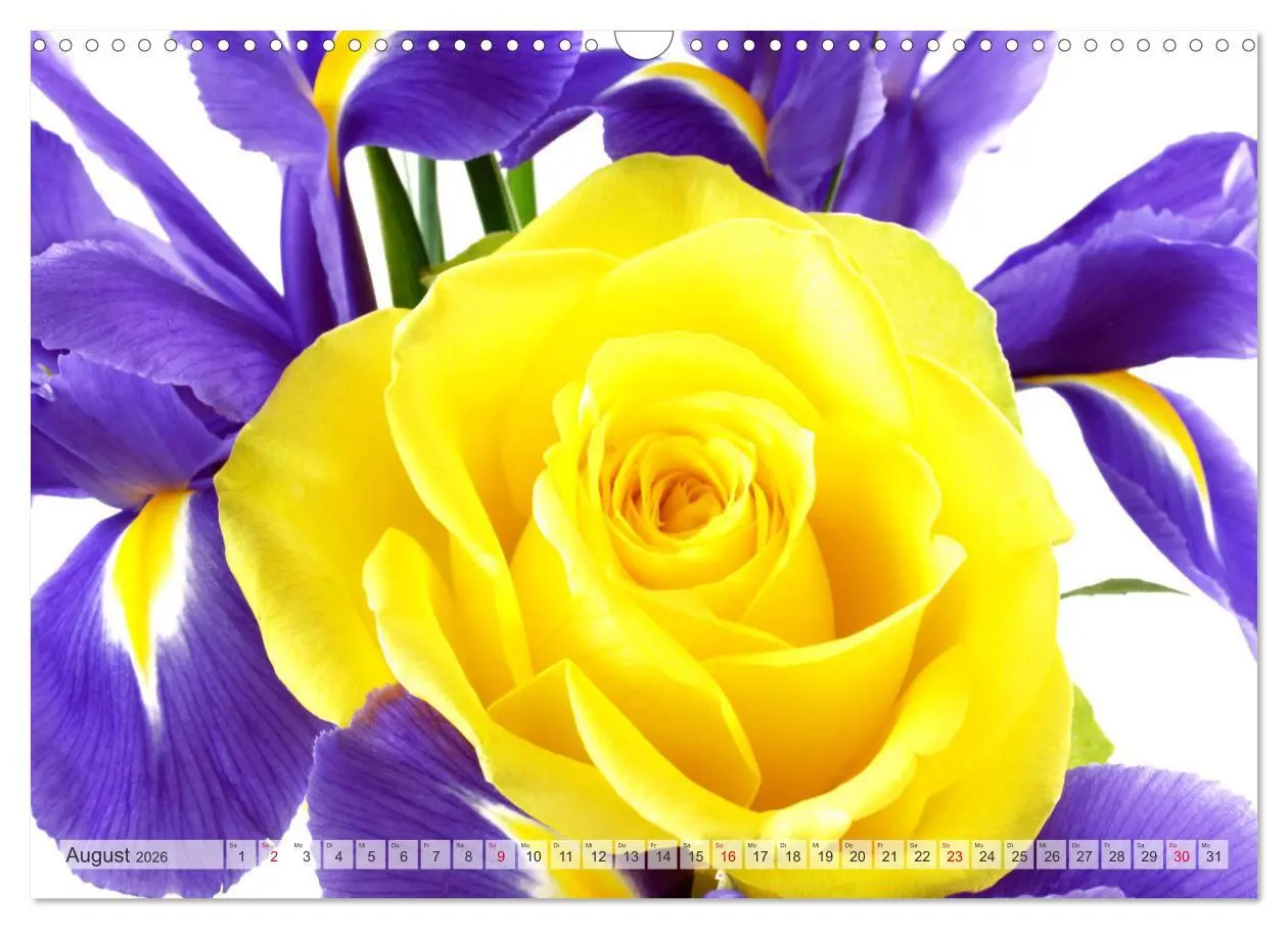 Bild: 9783457828724 | Blumenlust (Wandkalender 2026 DIN A3 quer), CALVENDO Monatskalender