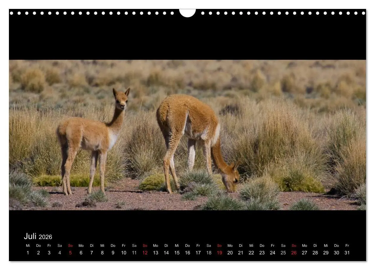 Bild: 9783516158724 | Peru &amp; Bolivien - Land der Inka (Wandkalender 2026 DIN A3 quer),...