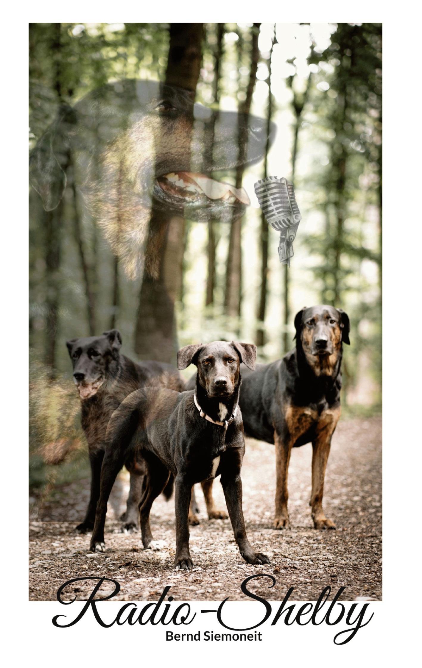 Cover: 9783755748724 | Radio-Shelby | Bernd Siemoneit | Taschenbuch | Paperback | 112 S.