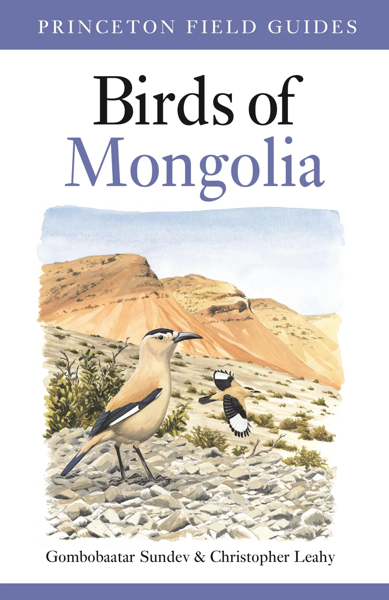 Cover: 9780691138824 | Birds of Mongolia | Gombobaatar Sundev (u. a.) | Taschenbuch | 2019