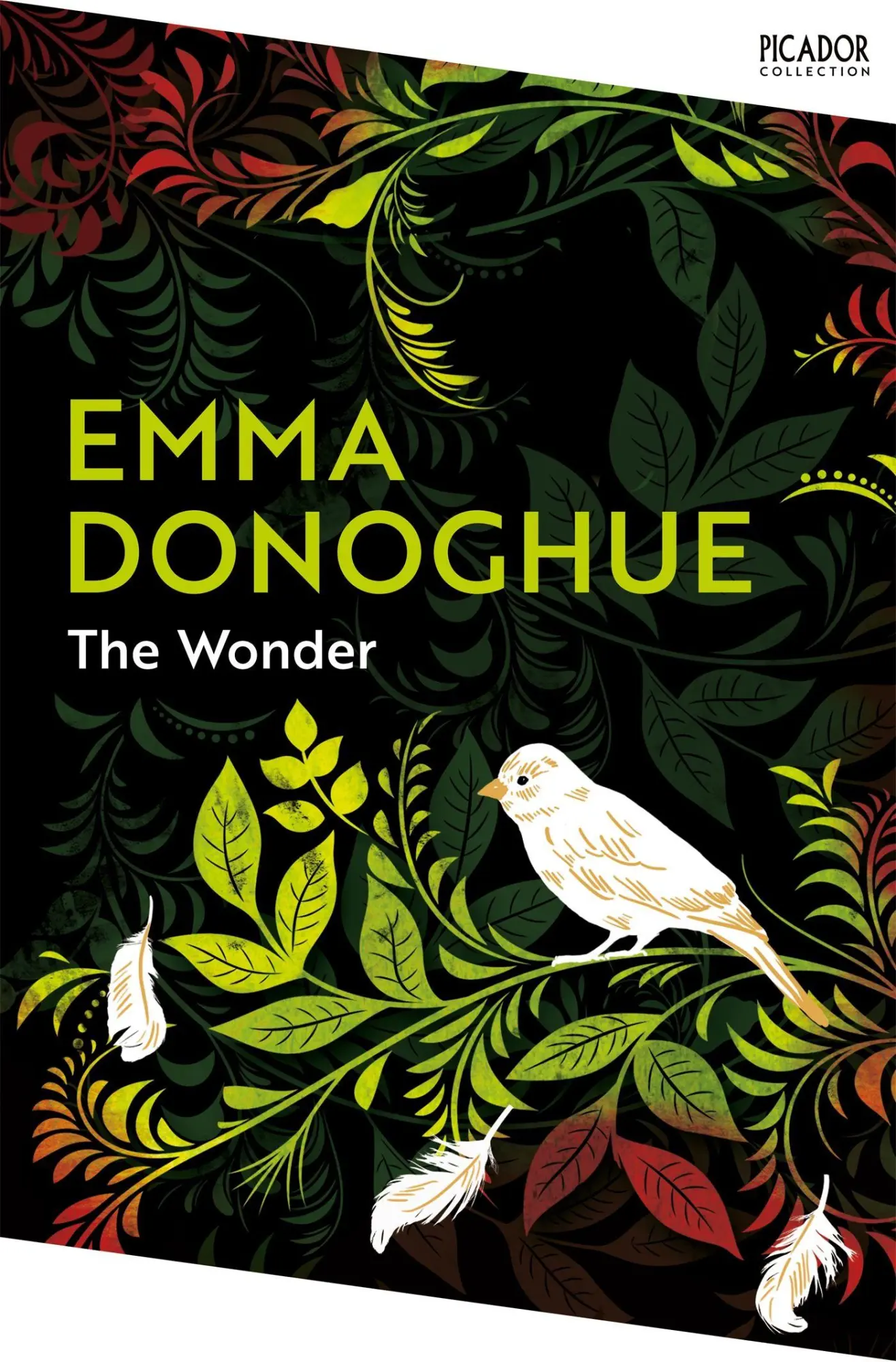 Cover: 9781035038824 | The Wonder | Emma Donoghue | Taschenbuch | Picador Collection | 2024