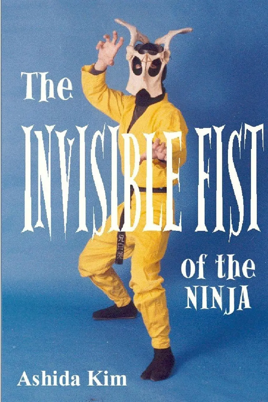 Cover: 9781435788824 | Invisible Fist of the Ninja | Ashida Kim | Taschenbuch | Englisch