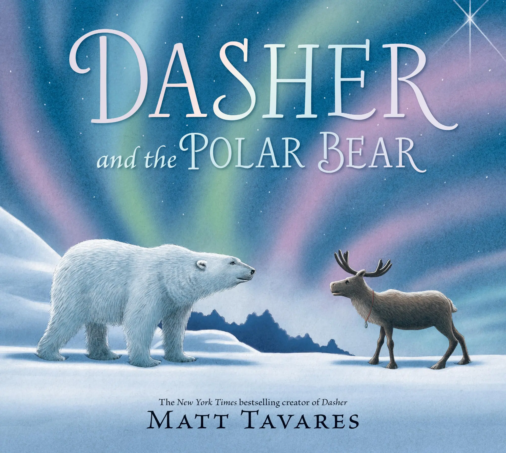 Cover: 9781529528824 | Dasher and the Polar Bear | Matt Tavares | Buch | 40 S. | Englisch