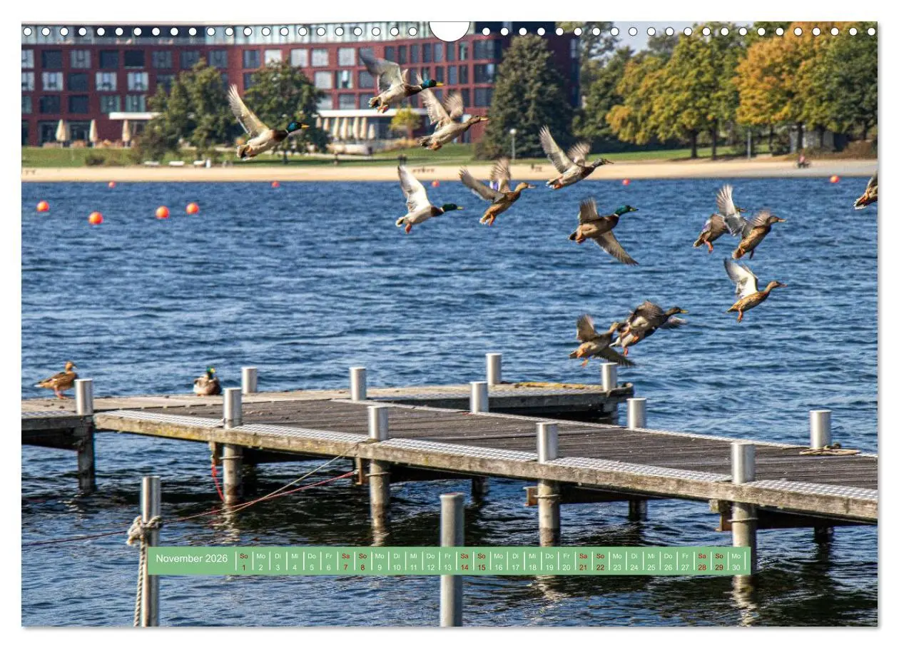 Bild: 9783457298824 | Wolfsburg - einfach tierisch (Wandkalender 2026 DIN A3 quer),...
