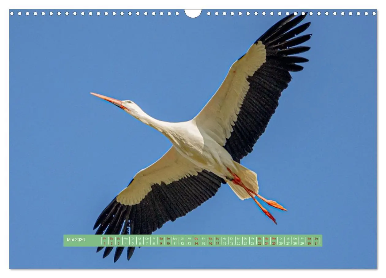 Bild: 9783457298824 | Wolfsburg - einfach tierisch (Wandkalender 2026 DIN A3 quer),...