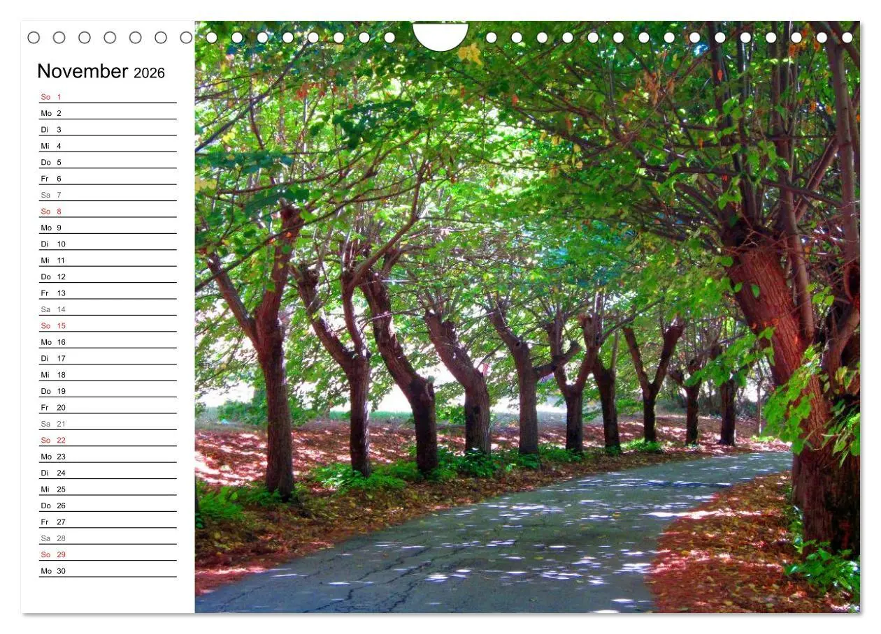 Bild: 9783457988824 | Franziskusweg - Camino di Assisi (Wandkalender 2026 DIN A4 quer),...