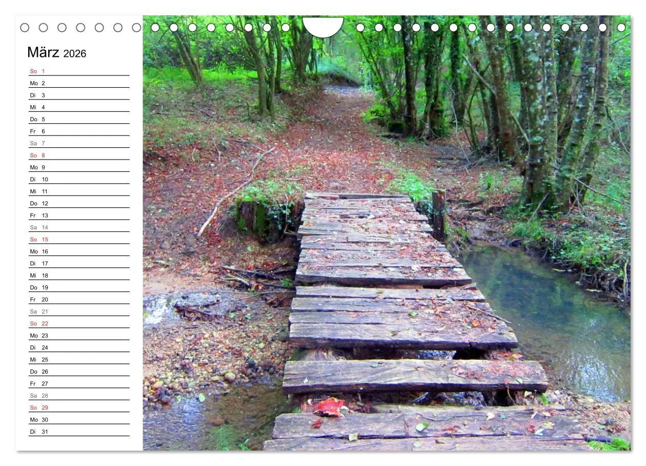 Bild: 9783457988824 | Franziskusweg - Camino di Assisi (Wandkalender 2026 DIN A4 quer),...