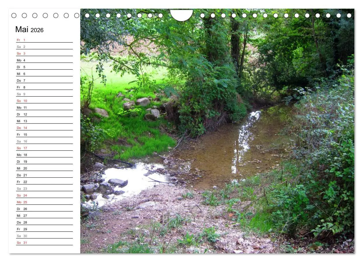 Bild: 9783457988824 | Franziskusweg - Camino di Assisi (Wandkalender 2026 DIN A4 quer),...