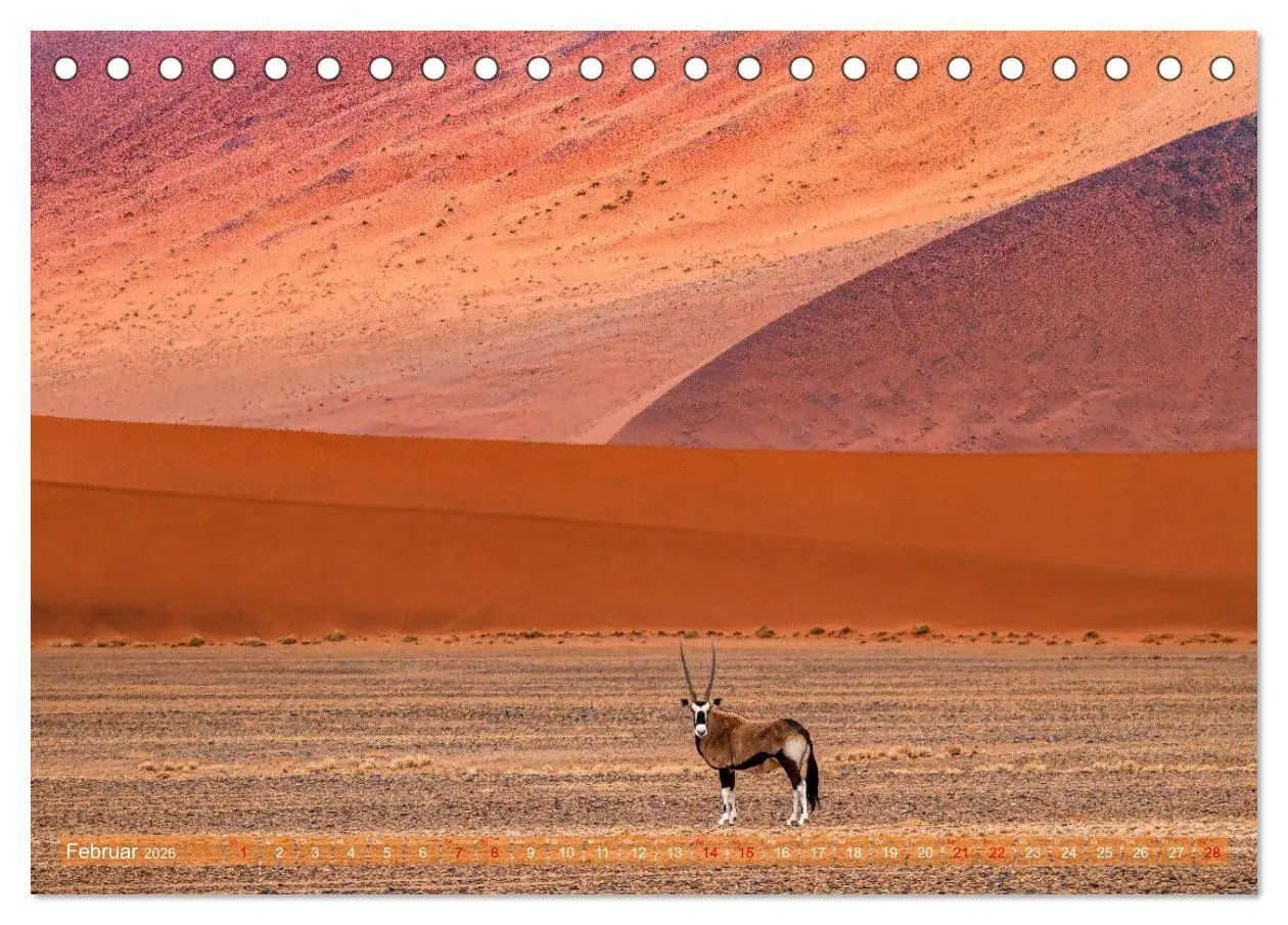 Bild: 9783516698824 | Namibias faszinierende Tierwelt (Tischkalender 2026 DIN A5 quer),...