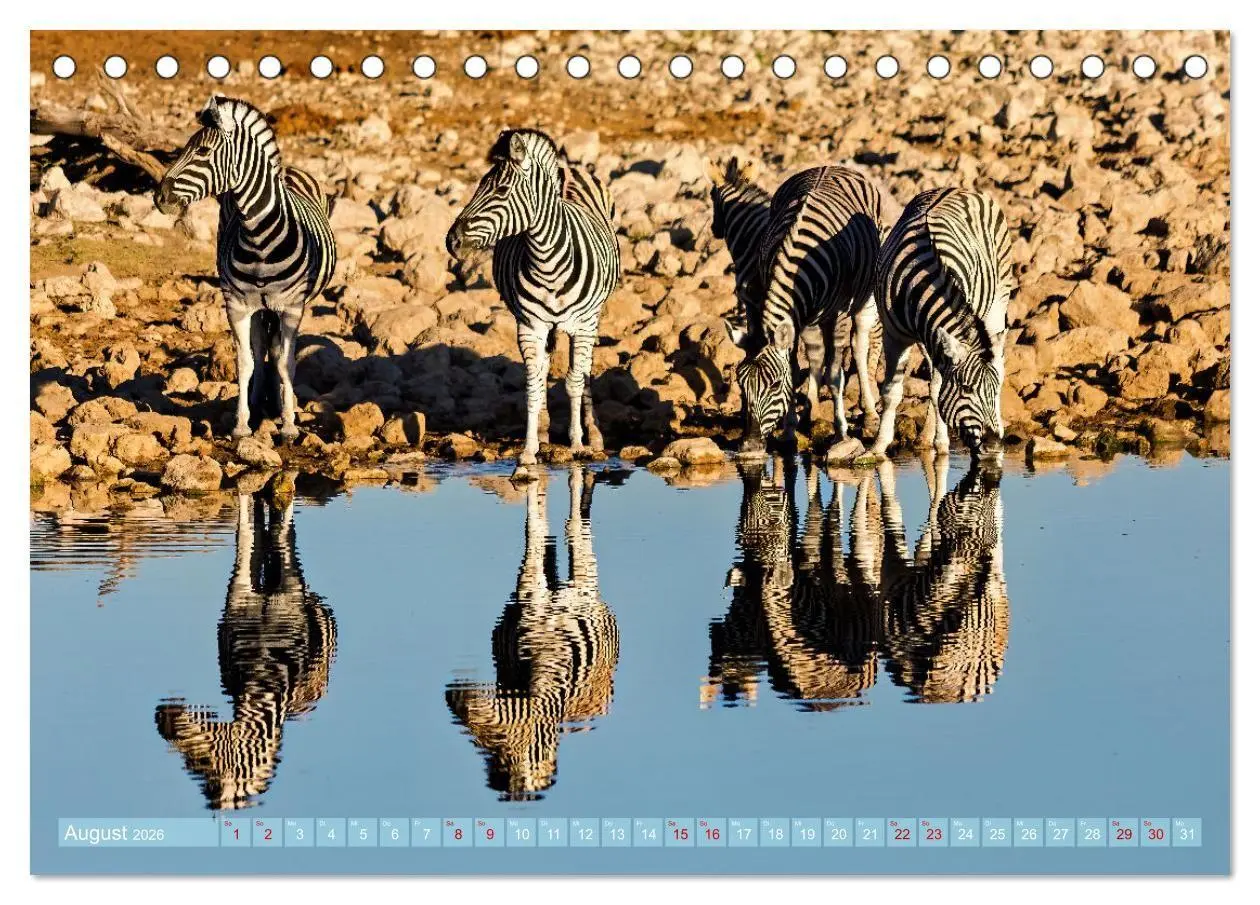Bild: 9783516698824 | Namibias faszinierende Tierwelt (Tischkalender 2026 DIN A5 quer),...