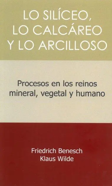 Cover: 9788412208924 | Lo siliceo, lo calcareo y lo arcilloso : procesos en los reinos...