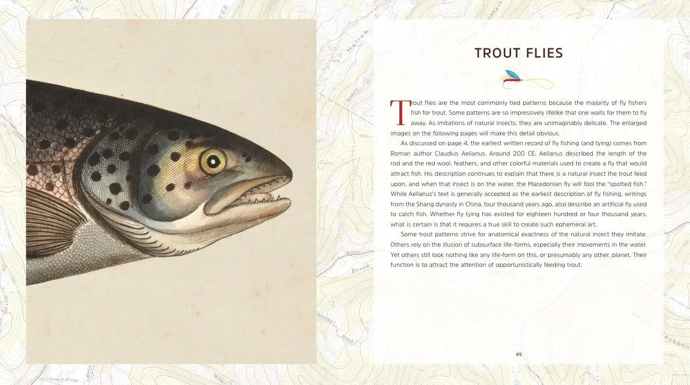 Bild: 9781454929024 | The Art of the Fishing Fly | Tony Lolli | Buch | Gebunden | Englisch