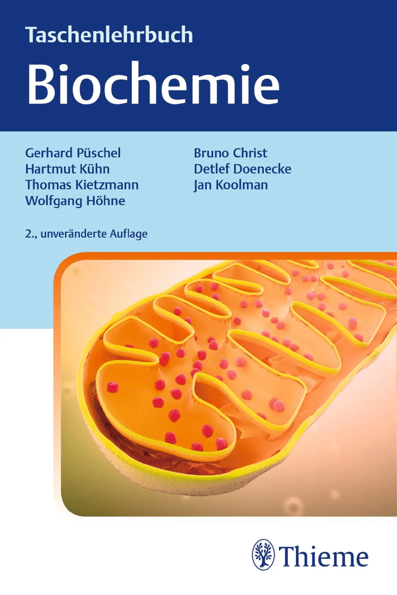 Cover: 9783132429024 | Taschenlehrbuch Biochemie | Taschenbuch | Broschiert (FH) | XVIII