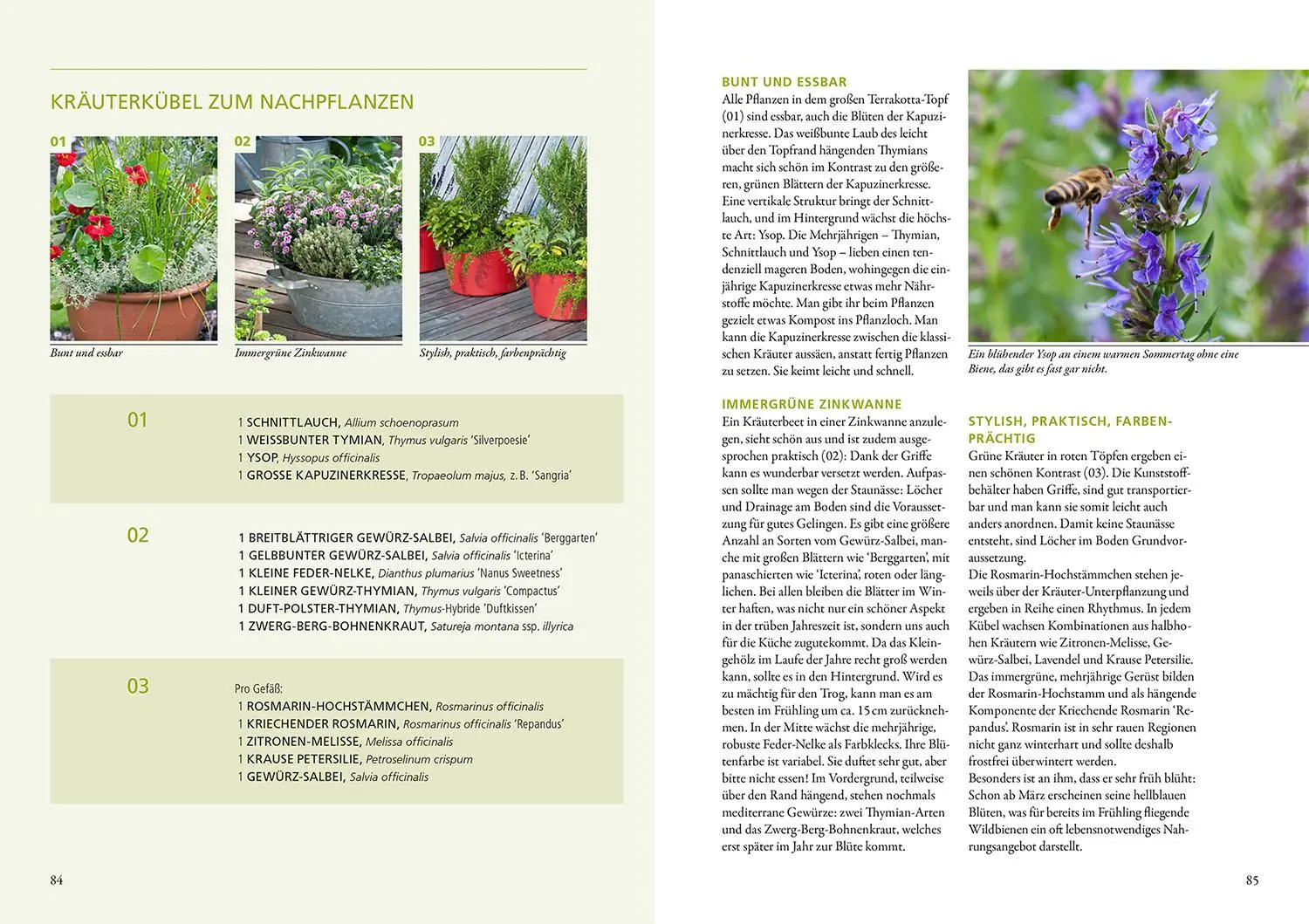 Bild: 9783440179024 | Wilde Kübel | Simone Kern | Taschenbuch | 144 S. | Deutsch | 2024