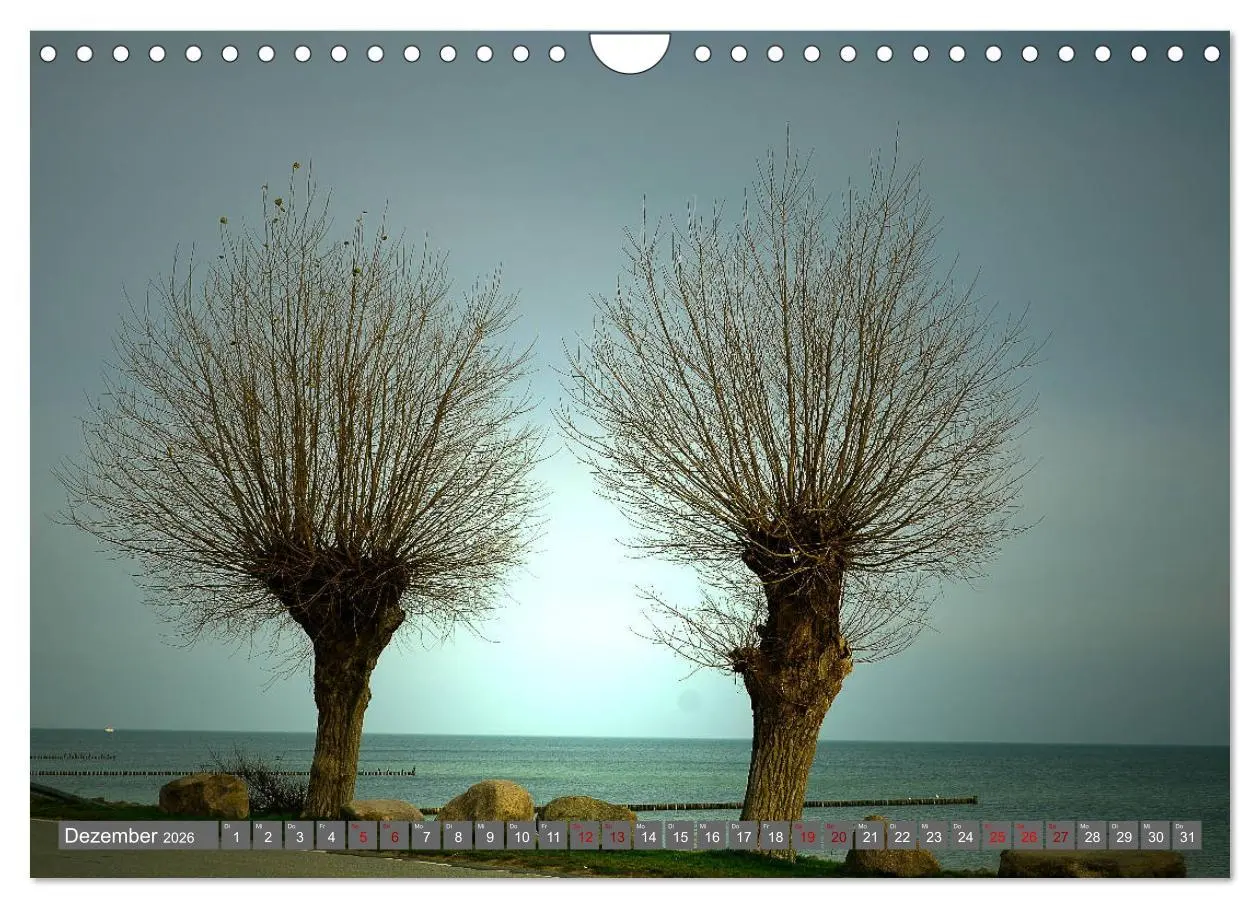 Bild: 9783457799024 | Zauberhaftes Boltenhagen (Wandkalender 2026 DIN A4 quer), CALVENDO...